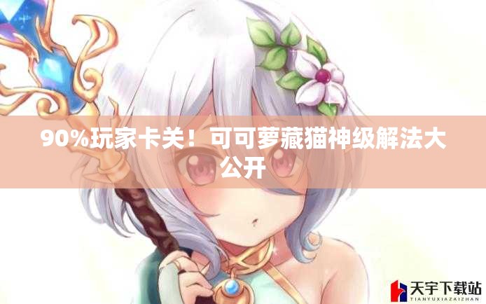 90%玩家卡關！可可蘿藏貓神級解法大公開