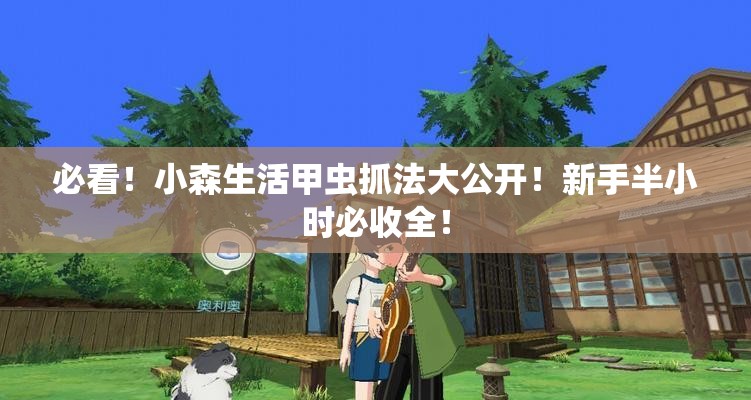 必看！小森生活甲蟲抓法大公開！新手半小時必收全！