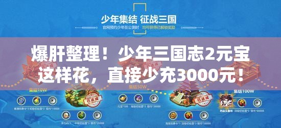爆肝整理！少年三國(guó)志2元寶這樣花，直接少充3000元！